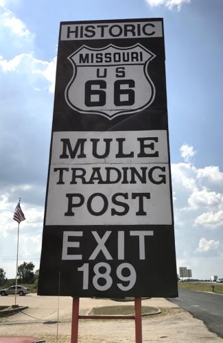 37-IMG 9469